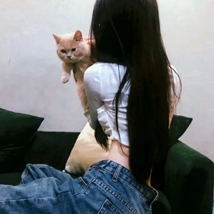 鹈鹕的故事